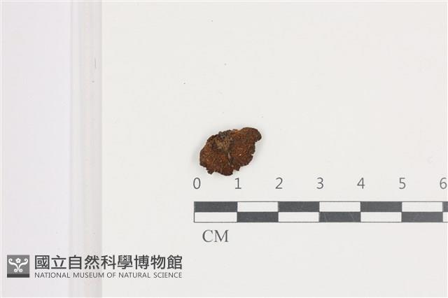 登錄號:F0036677藏品圖，第1張