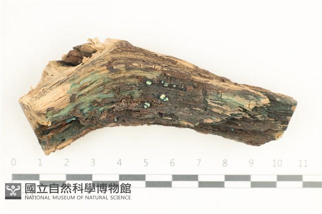 登錄號:F0038577藏品圖，第1張