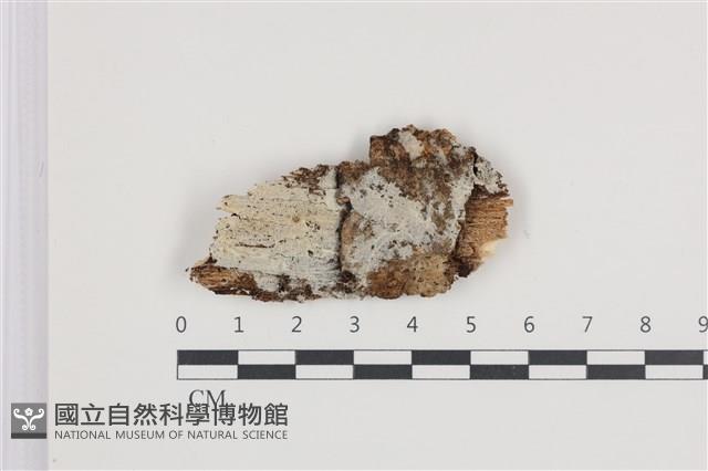 登錄號:F0035665藏品圖，第1張