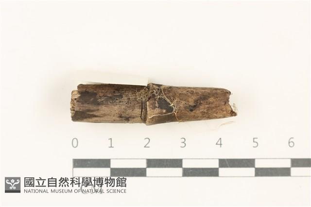 登錄號:F0037925藏品圖，第1張