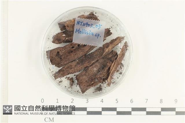登錄號:F0038625藏品圖，第1張