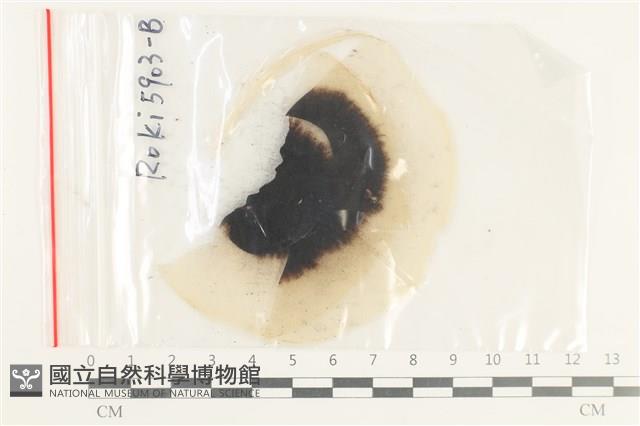 登錄號:F0038425藏品圖，第1張