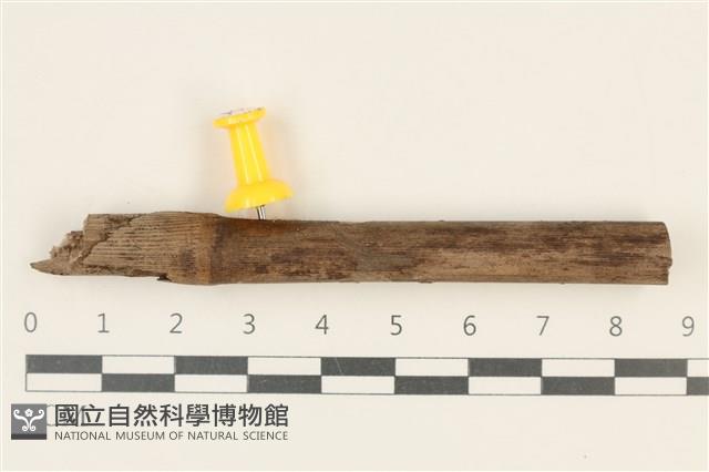 登錄號:F0037725藏品圖，第1張
