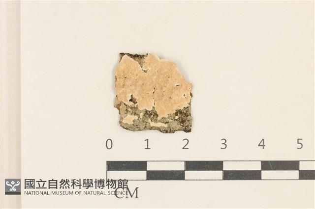登錄號:F0017525藏品圖，第1張