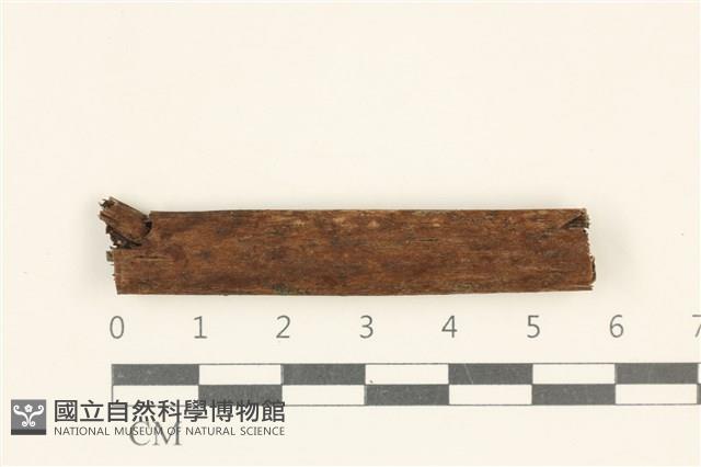 登錄號:F0038125藏品圖，第1張