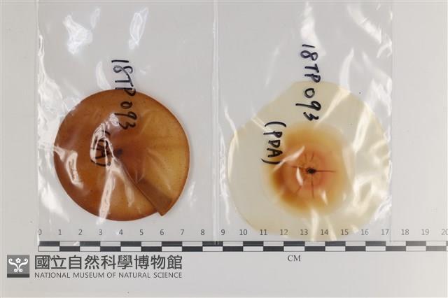 登錄號:F0036305藏品圖，第1張