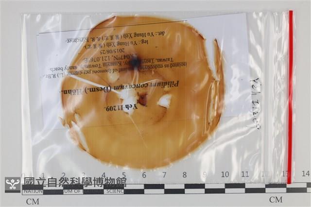 登錄號:F0035215藏品圖，第1張