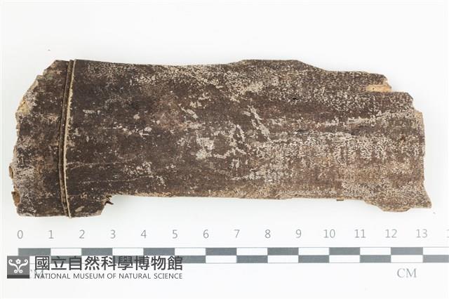 登錄號:F0036715藏品圖，第1張