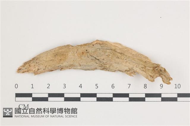 登錄號:F0035855藏品圖，第1張