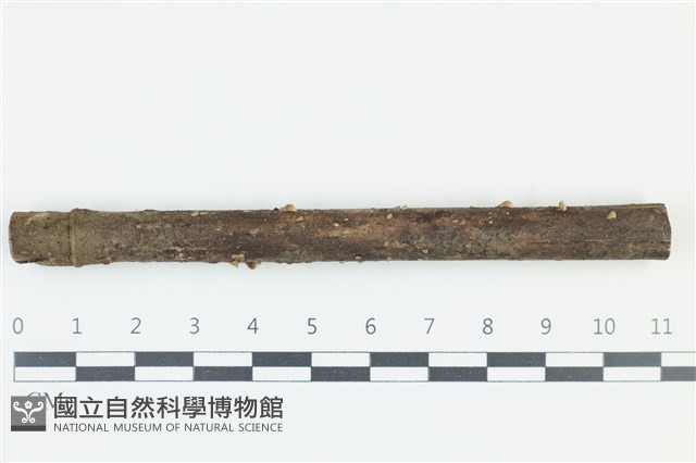 登錄號:F0039155藏品圖，第1張
