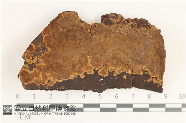 登錄號:F0038355藏品圖，第1張
