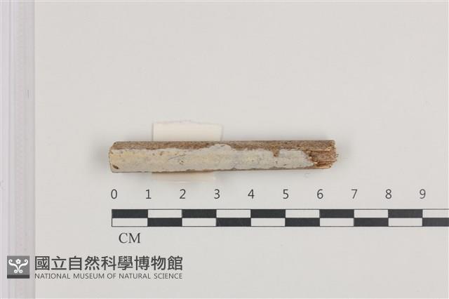 登錄號:F0036245藏品圖，第1張