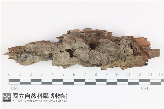 登錄號:F0035845藏品圖，第1張