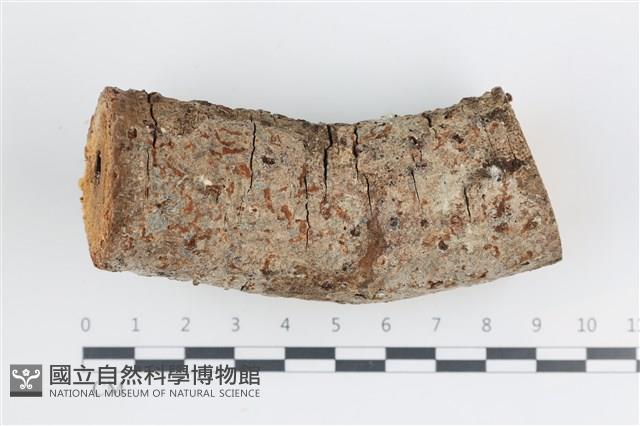 登錄號:F0035945藏品圖，第1張