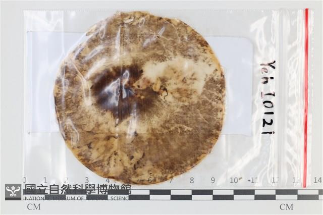 登錄號:F0035045藏品圖，第1張