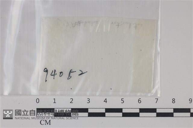 登錄號:F0002495藏品圖，第1張