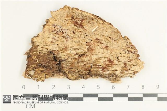 登錄號:F0038485藏品圖，第1張