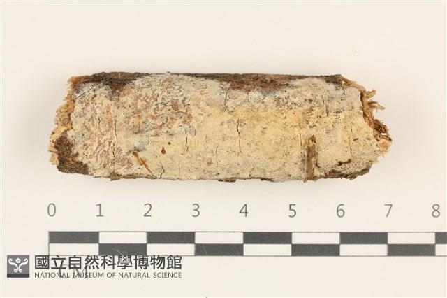 登錄號:F0036785藏品圖，第1張