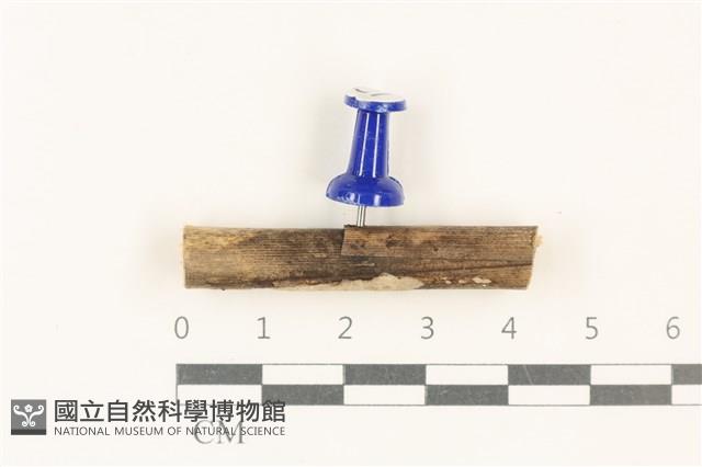 Accession Number:F0037935 Collection Image, Figure 1, Total 2 Figures