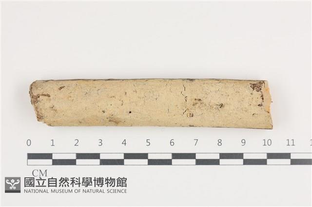 登錄號:F0036435藏品圖，第1張