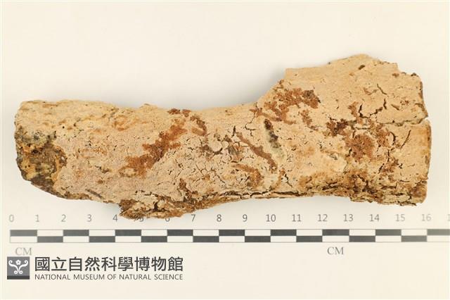 登錄號:F0018735藏品圖，第1張