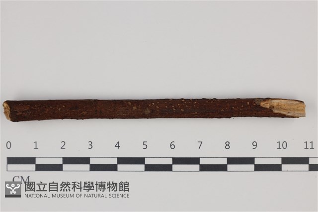 登錄號:F0007535藏品圖，第1張