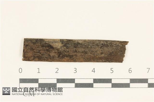 登錄號:F0038135藏品圖，第1張