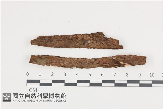 Accession Number:F0036229 Collection Image, Figure 1, Total 2 Figures