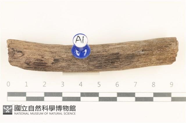 登錄號:F0037929藏品圖，第1張