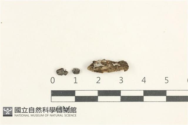 登錄號:F0038429藏品圖，第1張