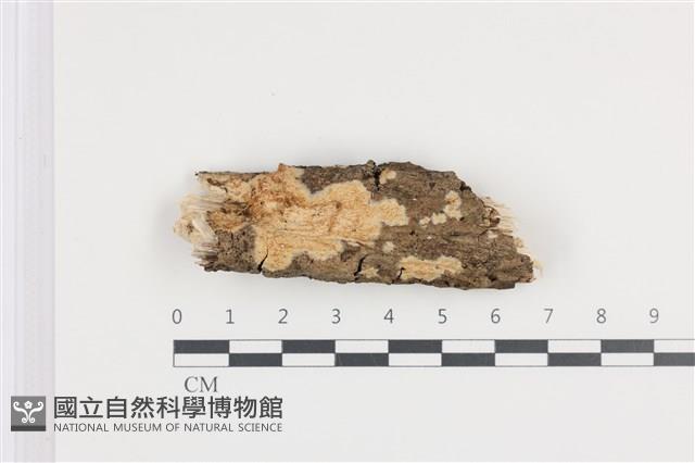 登錄號:F0036429藏品圖，第1張
