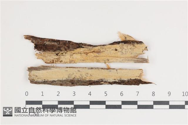 登錄號:F0035429藏品圖，第1張
