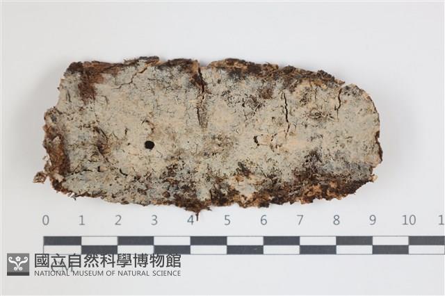 登錄號:F0035729藏品圖，第1張