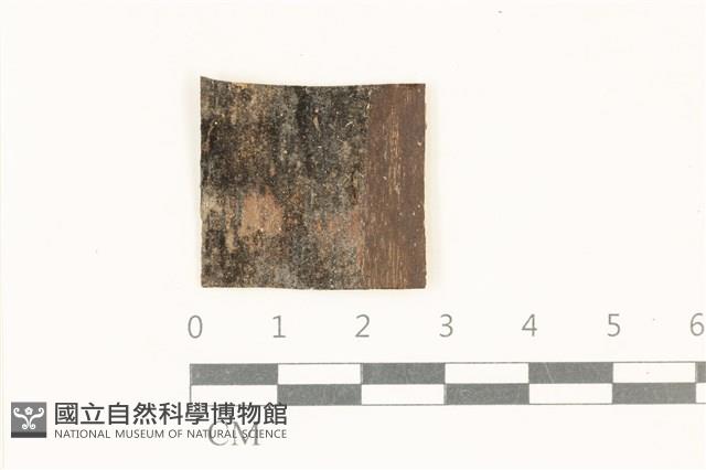 登錄號:F0038129藏品圖，第1張