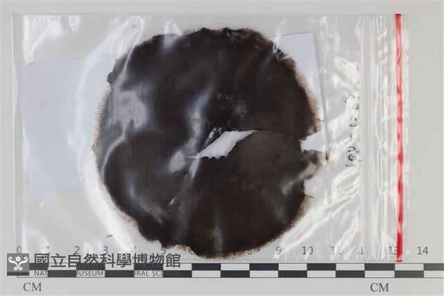 登錄號:F0035209藏品圖，第1張