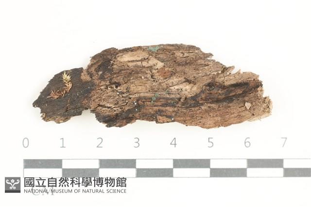 登錄號:F0038609藏品圖，第1張