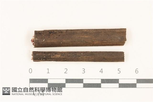 登錄號:F0037709藏品圖，第1張