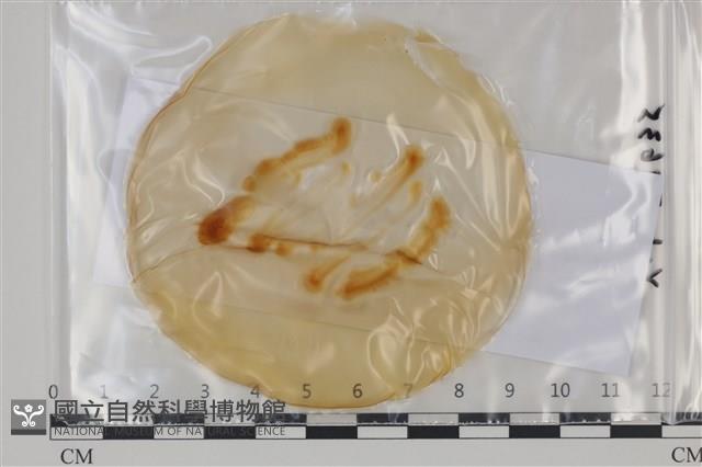 登錄號:F0035109藏品圖，第1張