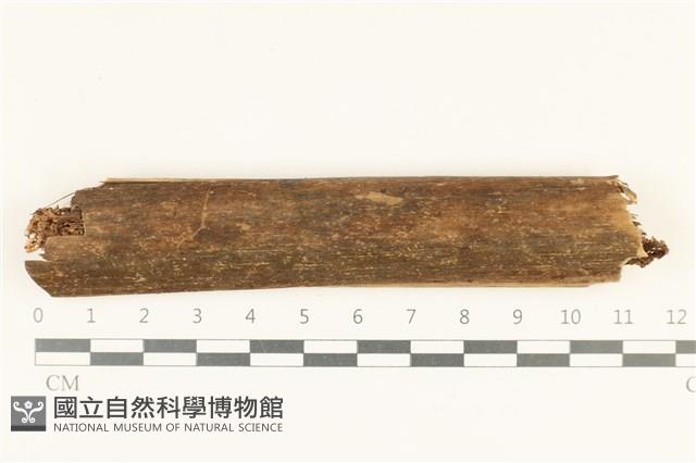 登錄號:F0038119藏品圖，第1張
