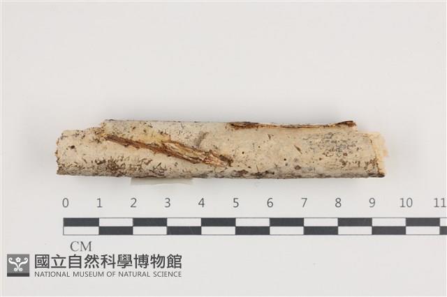 Accession Number:F0036249 Collection Image, Figure 1, Total 2 Figures