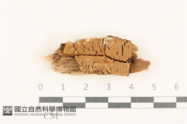 登錄號:F0017749藏品圖，第1張