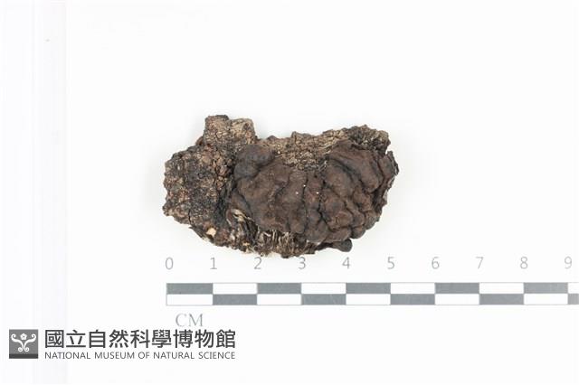 登錄號:F0036049藏品圖，第1張