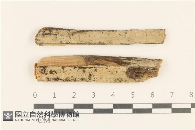 登錄號:F0018999藏品圖，第1張