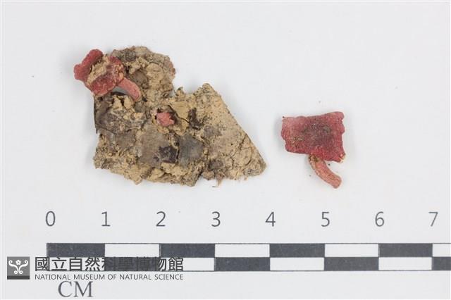 登錄號:F0038799藏品圖，第1張