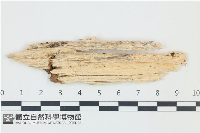 登錄號:F0039099藏品圖，第1張