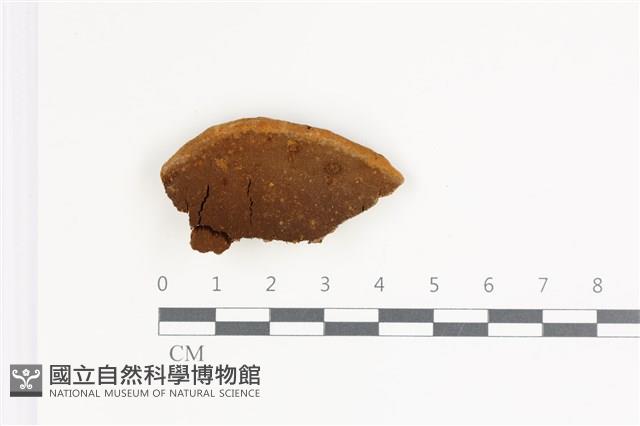 登錄號:F0035399藏品圖，第1張