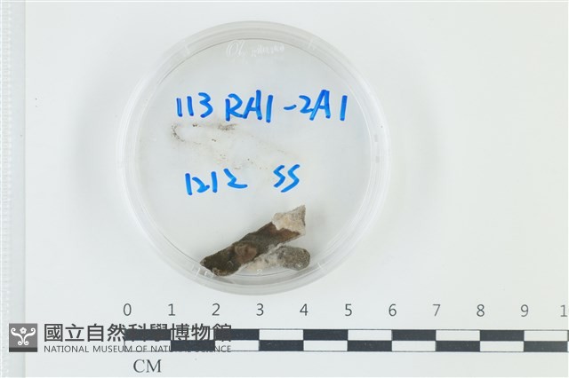 登錄號:F0038889藏品圖，第1張