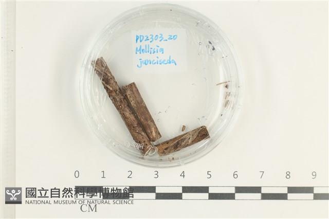 Accession Number:F0038589 Collection Image, Figure 1, Total 2 Figures