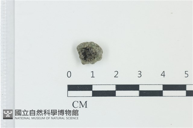 登錄號:F0039089藏品圖，第1張