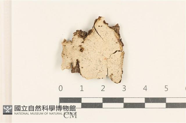 登錄號:F0019389藏品圖，第1張